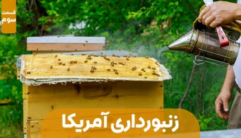 زنبورداری در آمریکا - قسمت سوم