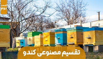 تقسیم مصنوعی کندو عسل - قسمت دوم