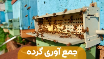 جمع آوری گرده از کندو