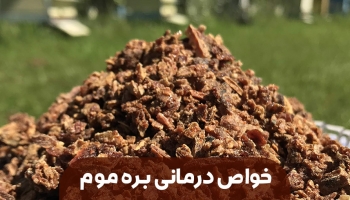 با خواص درمانی بره موم آشنا شوید... + ویدئو توضیحات برای برخی خواص