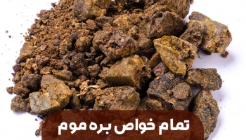 با خواندن این مقاله با خواص معجزه آسای بره موم آشنا شوید!