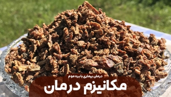 بره موم چگونه موجب درمان بیماری ها می شود؟