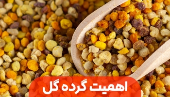 گرده گل و اهمیت آن