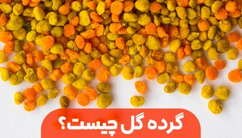 گرده گل چیست؟