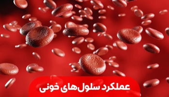 عملکرد سلول‌های خونی و نقش حیاتی آن‌ها در سلامت بدن